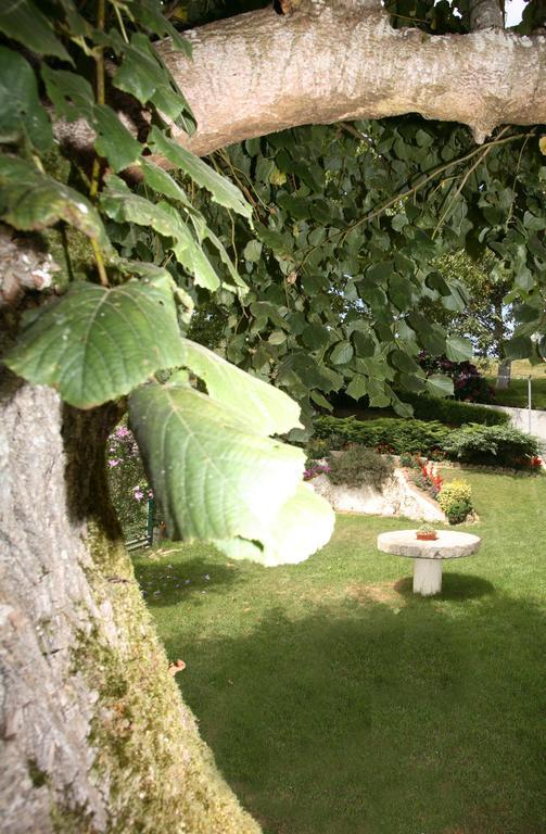 Vivienda Vacacional Supereda San Juan de Parres Oda fotoğraf